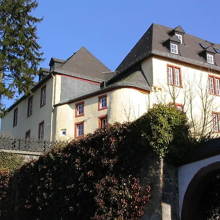 Aesthetic Holiday In Germany Near Forest *